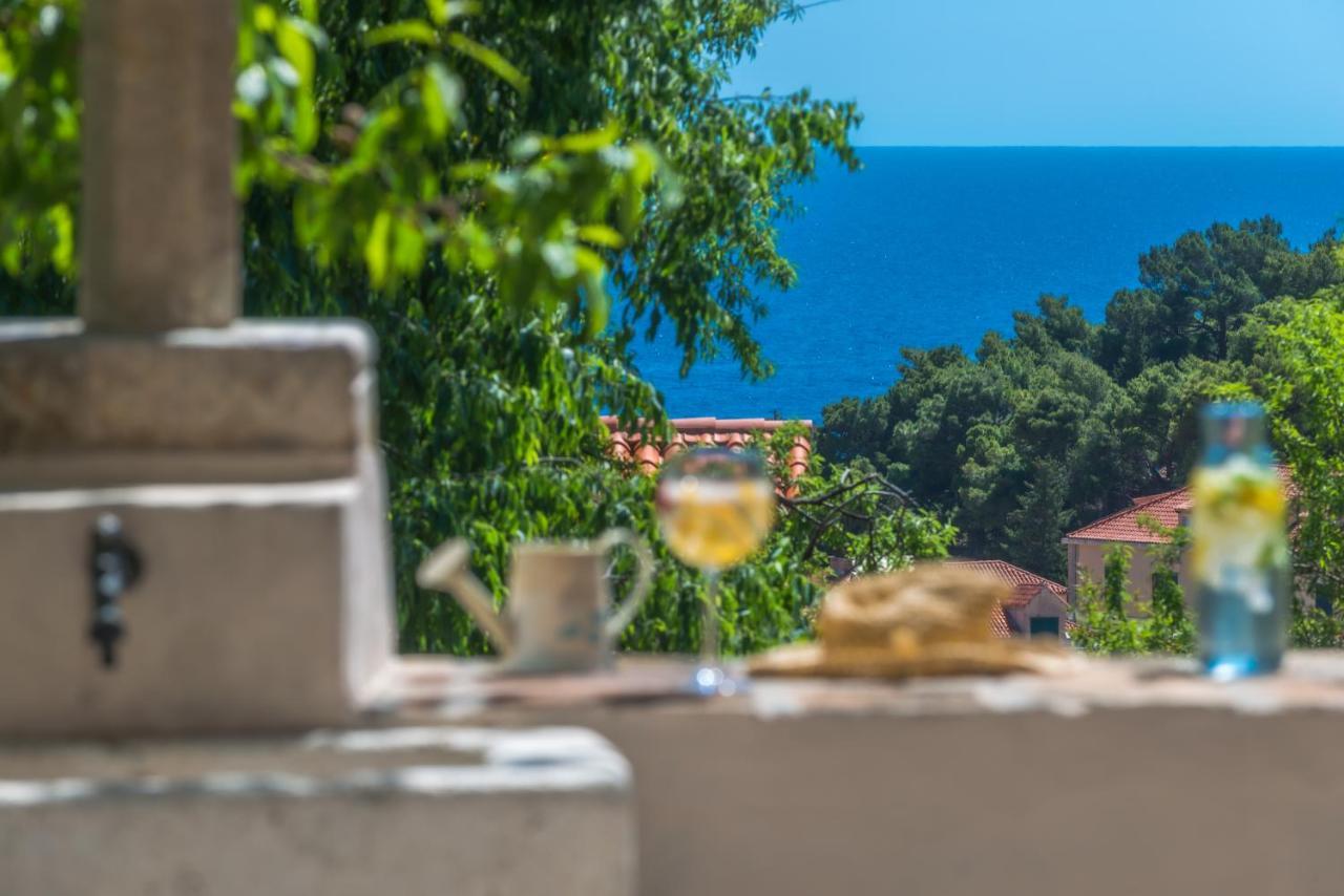 Villa Flores Garden Dubrovnik Bagian luar foto